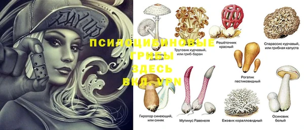 индика Абдулино