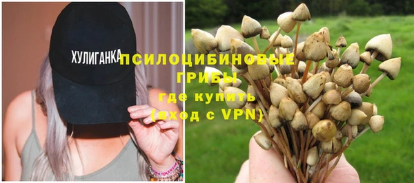 индика Абдулино