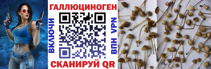 Галлюциногенные грибы MAGIC MUSHROOMS  дарк нет какой сайт  Нягань  кракен как войти 