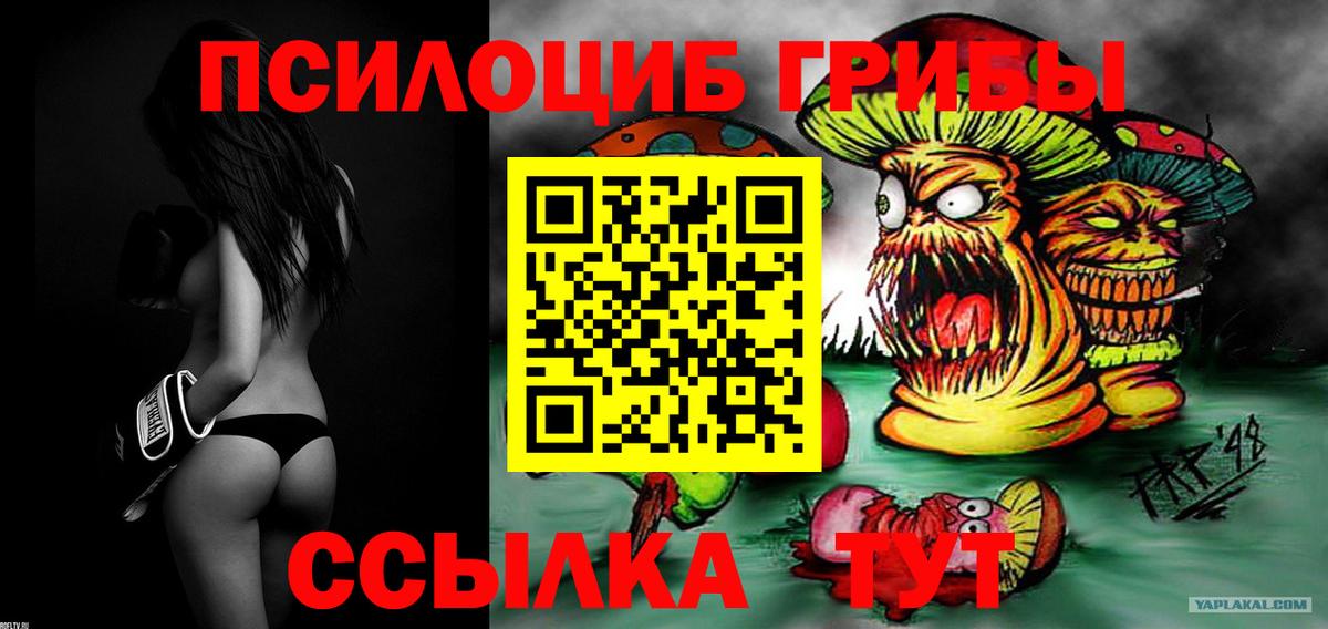 Нягань  Галлюциногенные грибы мицелий  Вход с VPN  Галлюциногенные грибы Psilocybe 