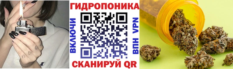 даркнет сайт  Нягань  сайты даркнета как зайти  Бошки марихуана марихуана  KRAKEN вход 